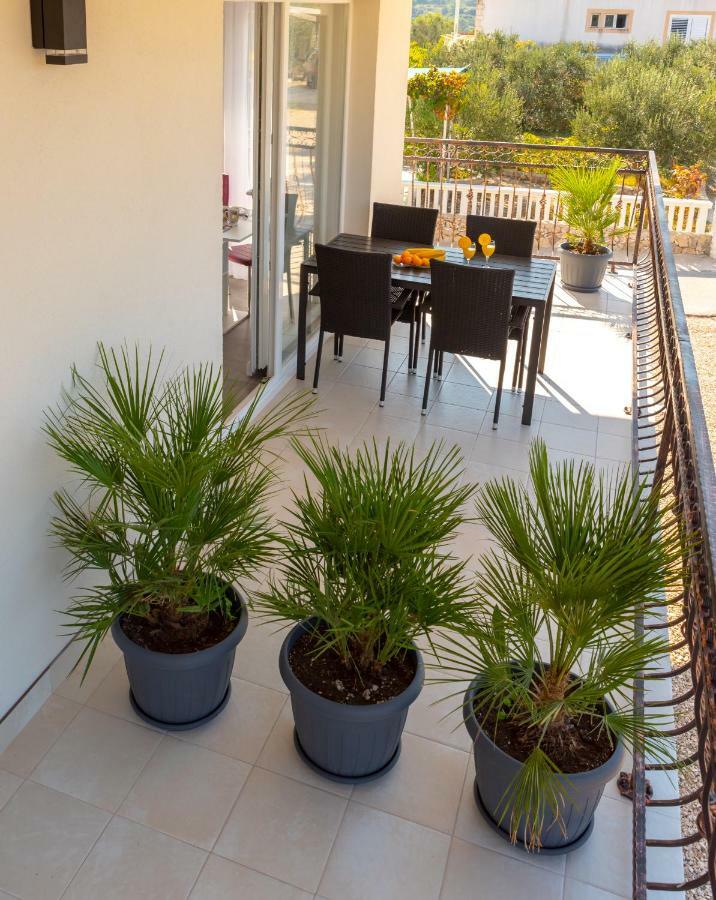 Dalmacjia Apartament *